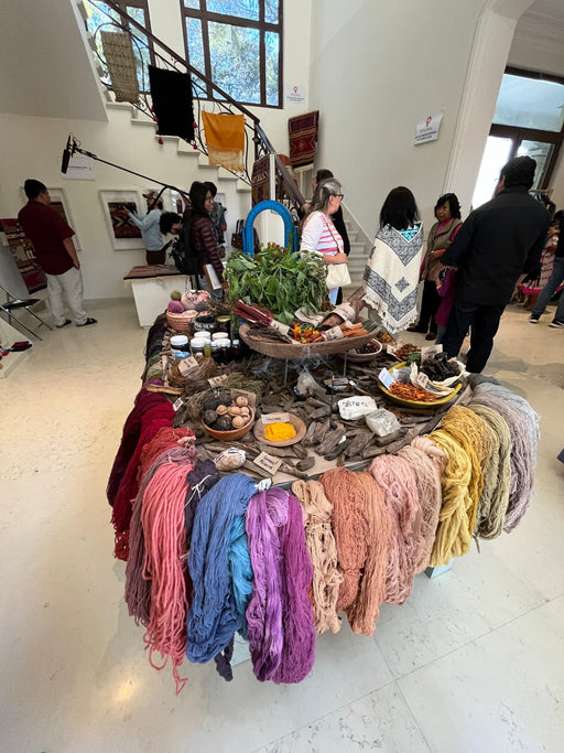 Mexico City Original Textile Trip-November 2024 - heritagebyhand