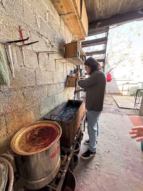 Mexico City Original Textile Fair and Puebla Extension-November/December 2026 Travel Heritage by Hand 