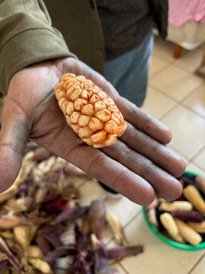 Exploring Textiles and History in Puebla and Tlaxcala, Mexico - December 1-5, 2026 Travel Heritage by Hand 