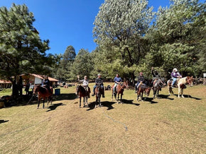 Valle de Bravo and Monarch Butterfly Biosphere Reserve Trip February 8-12, 2027 Travel Heritage by Hand 