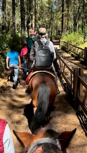 Valle de Bravo and Monarch Butterfly Biosphere Reserve Trip February 8-12, 2027 Travel Heritage by Hand 