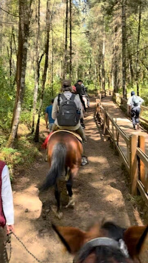 Valle de Bravo and Monarch Butterfly Biosphere Reserve Trip February 8-12, 2027 Travel Heritage by Hand 