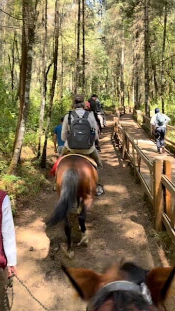 Valle de Bravo and Monarch Butterfly Biosphere Reserve Trip February 8-12, 2027 Travel Heritage by Hand 