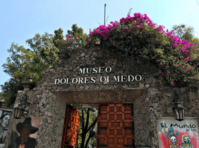Mexico City Zona Maco Trip-February 7-12, 2024 Travel Heritage by Hand 