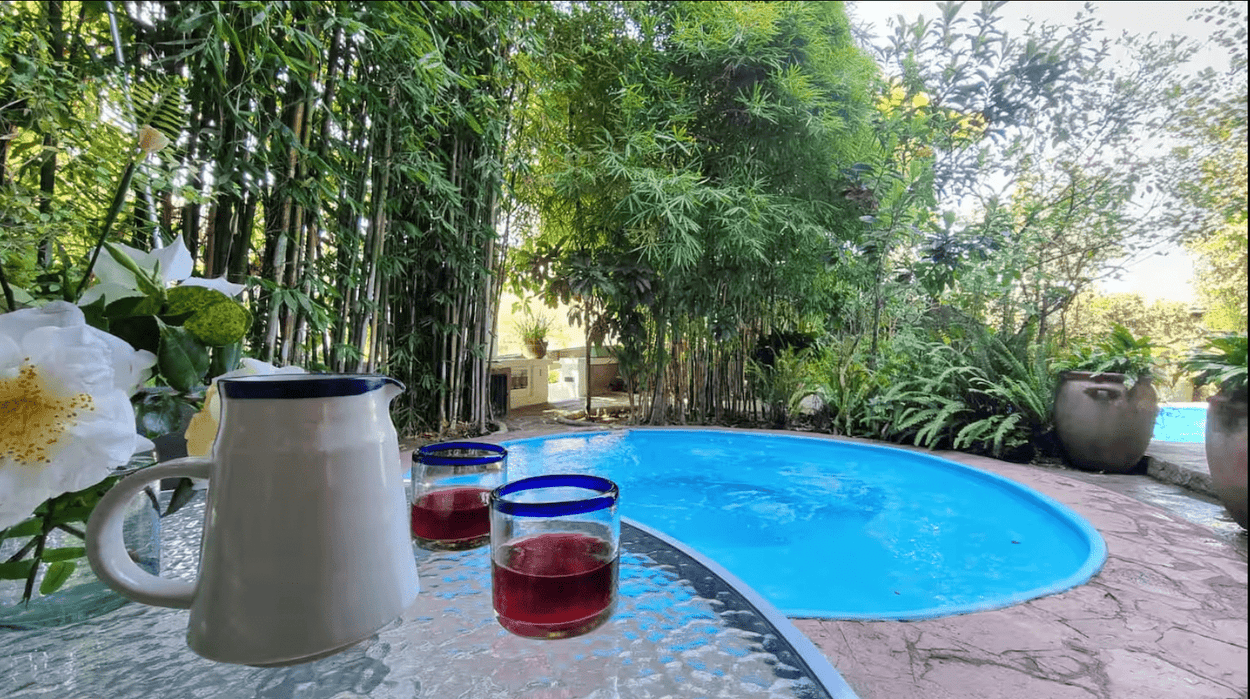 Mexico City Zona Maco Art Fair -February 4-9, 2025 with Valle de Bravo Extension February 9-12, 2025 Travel Heritage by Hand 