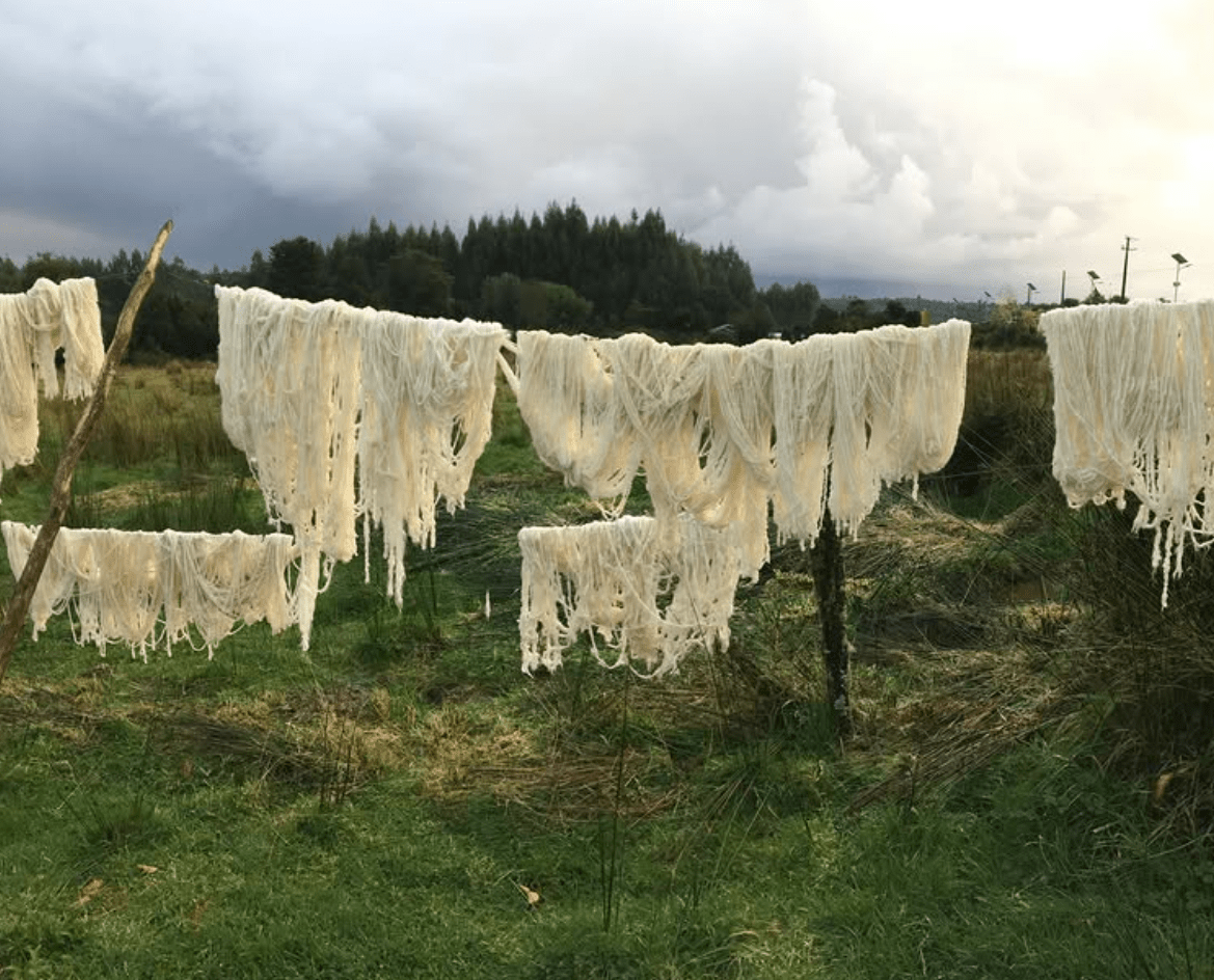 Artisan Traditions of Chile: A Journey from Santiago to Patagonia February 14-March 1, 2027 Heritage by Hand Travel 