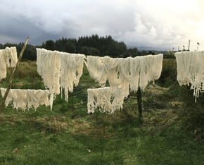 Artisan Traditions of Chile: A Journey from Santiago to Patagonia February 14-March 1, 2027 Heritage by Hand Travel 