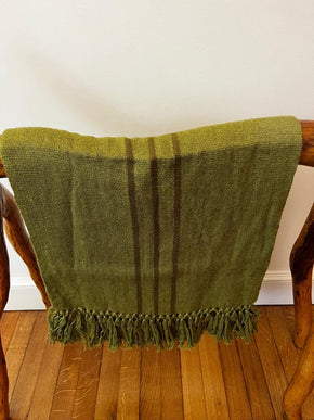 Striped Fine Llama Scarf Accessories Hijas de la Luna Bamboo Green with Dark Green Stripes 