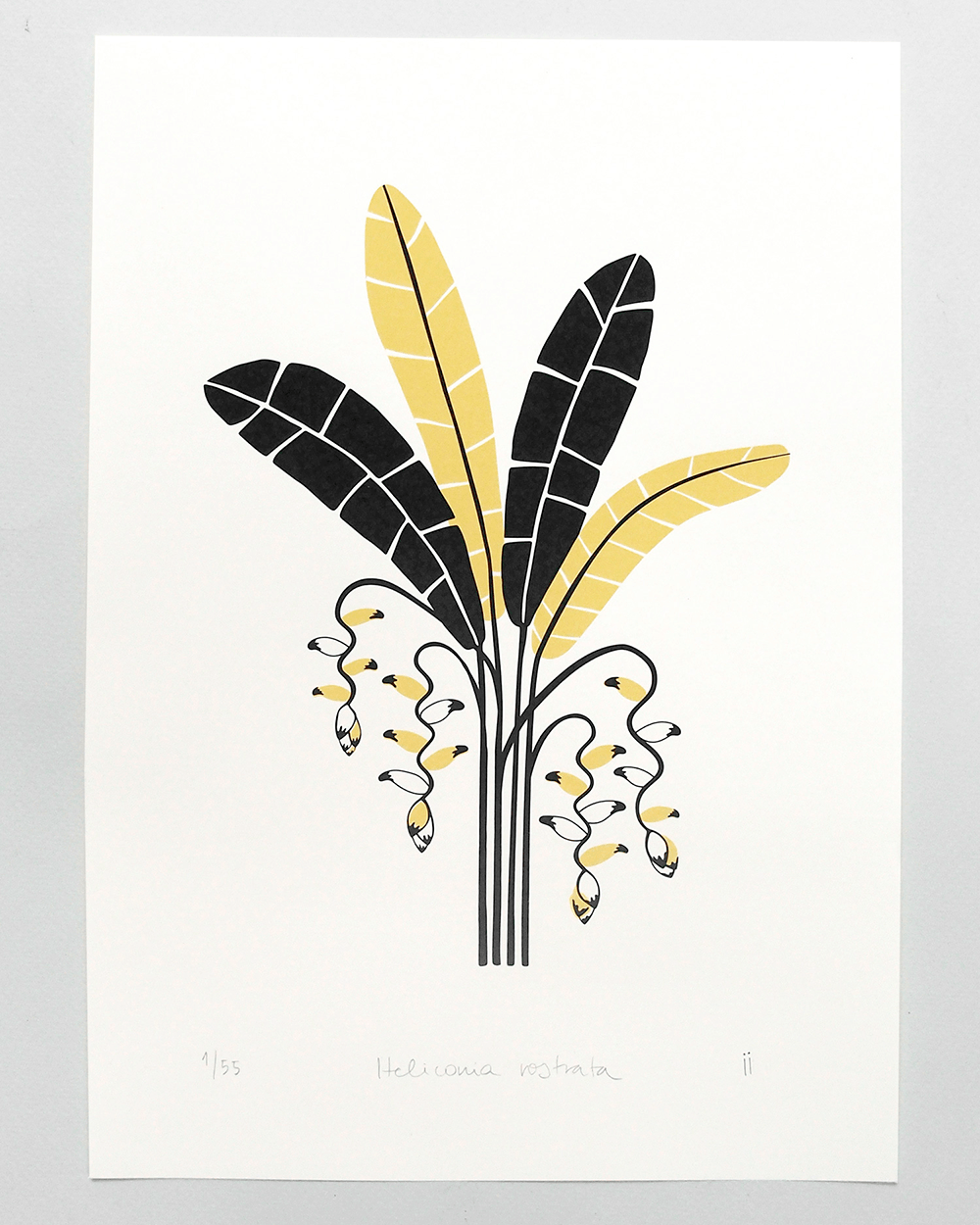 Heliconia Serigraph Print Cards and Prints Isabel Infante 