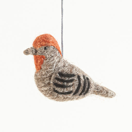 Felted Wool House Finch For Kids Mayan Hands 
