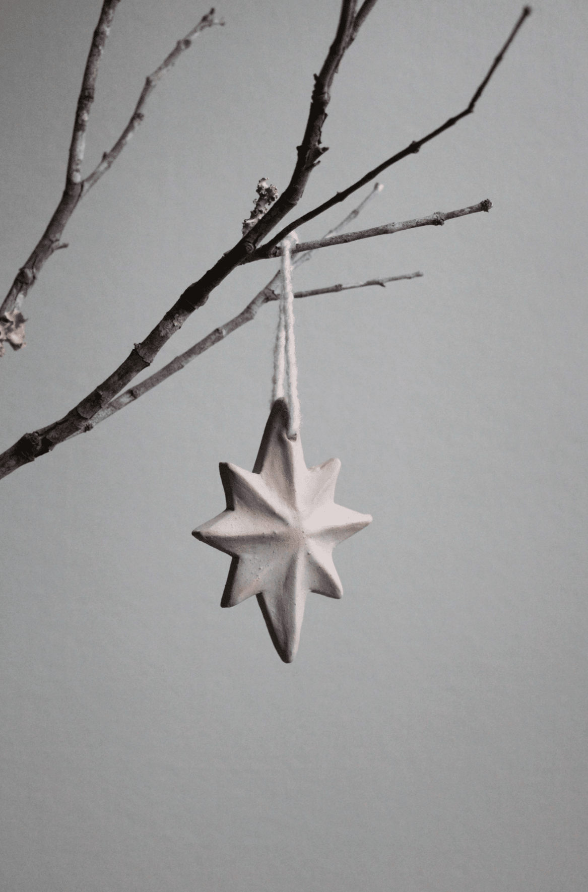NINNA TOTONACA 110 ニンナ トトナカ アブディール ローカル Totonac Ceramic Ornaments | heritagebyhand